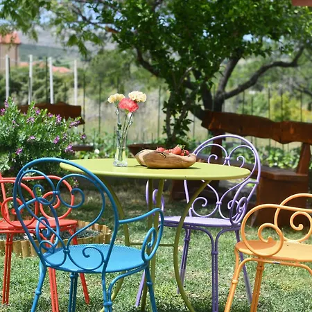 Villa Luxury Bulin Vrpolje